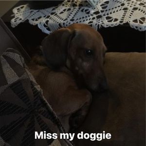 Meet your Posher, Ronald